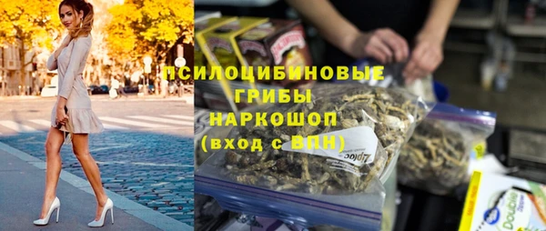 гидра Лабытнанги