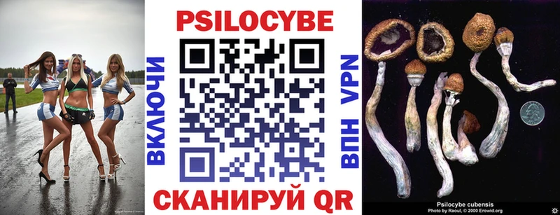 Псилоцибиновые грибы мицелий  OMG ССЫЛКА  Новомичуринск 